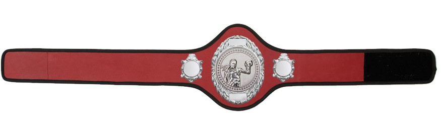 FEMALE BOXING CHAMPIONSHIP BELT-PRO286/S/FEMBOXS-10+ COLOURS